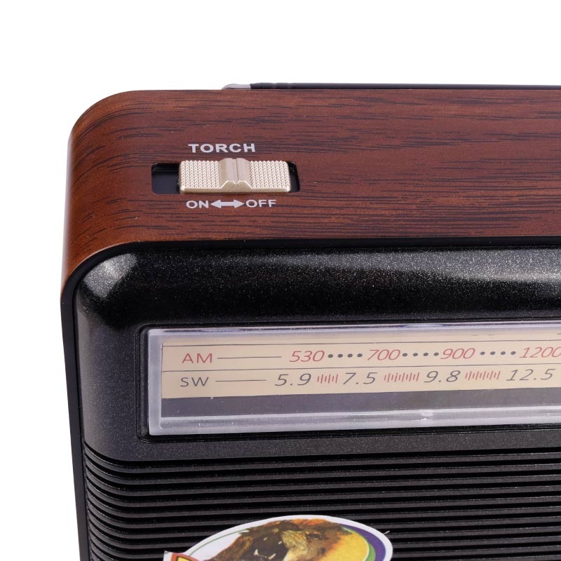 رادیو اسپیکر بلوتوثی گولون RX-BT168 - Image 8